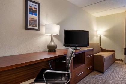 Comfort Inn Kissimmee-Lake Buena Vista South - image 39