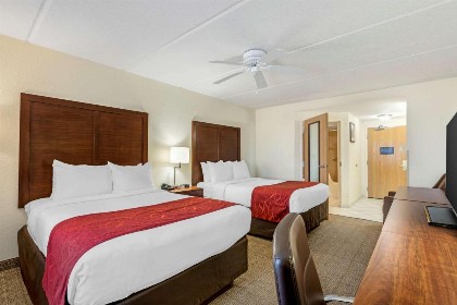Comfort Inn Kissimmee-Lake Buena Vista South - image 4