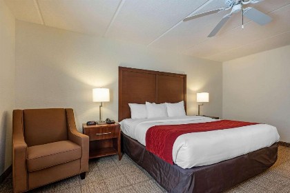 Comfort Inn Kissimmee-Lake Buena Vista South - image 46