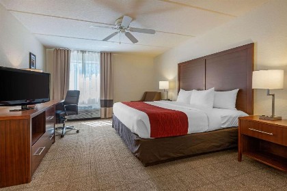 Comfort Inn Kissimmee-Lake Buena Vista South - image 48