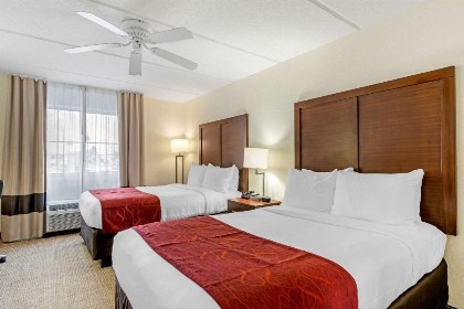 Comfort Inn Kissimmee-Lake Buena Vista South - image 5