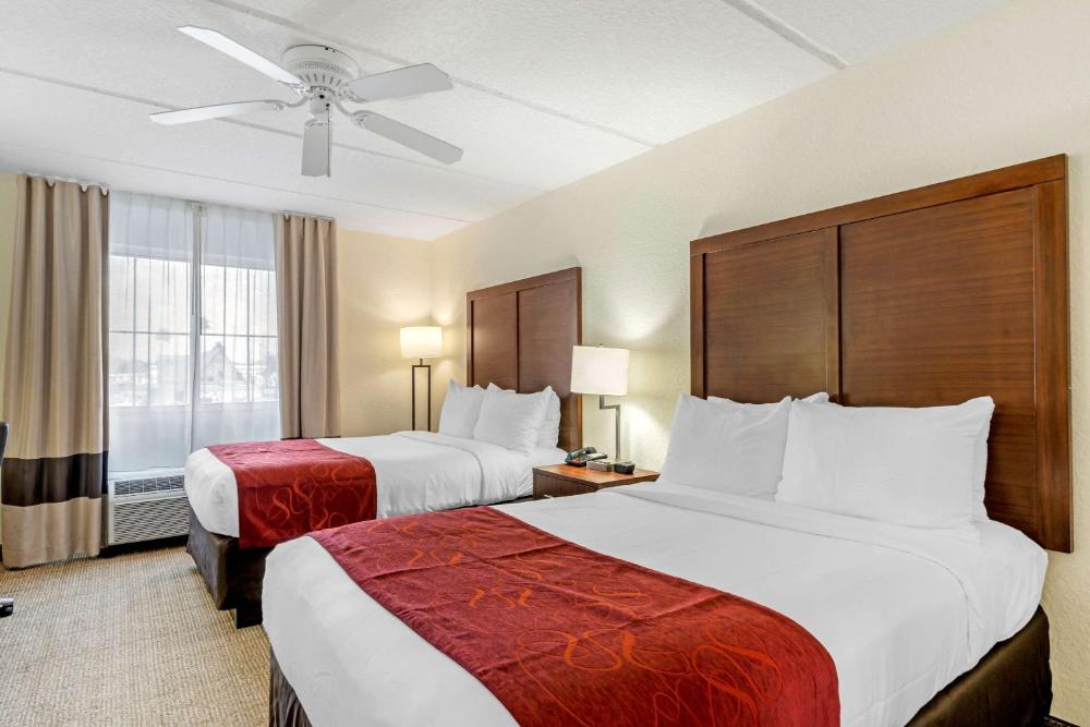 Comfort Inn Kissimmee-Lake Buena Vista South - image 5