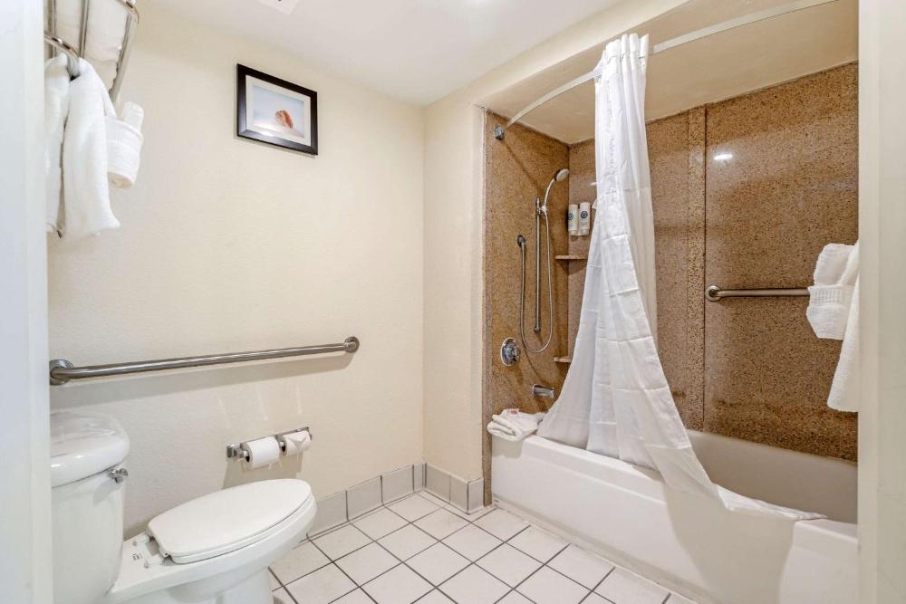 Comfort Inn Kissimmee-Lake Buena Vista South - image 7