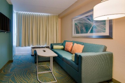 SpringHill Suites by Marriott Orlando Lake Buena Vista South - image 10