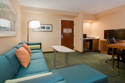 SpringHill Suites by Marriott Orlando Lake Buena Vista South - image 16
