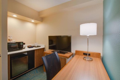 SpringHill Suites by Marriott Orlando Lake Buena Vista South - image 25