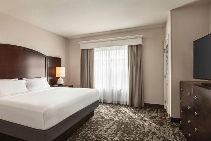 Embassy Suites by Hilton Orlando Lake Buena Vista South - image 11