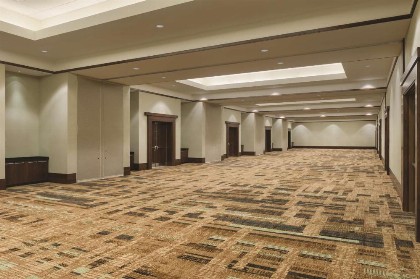 Embassy Suites by Hilton Orlando Lake Buena Vista South - image 16