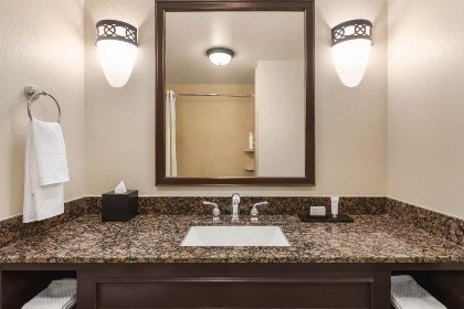 Embassy Suites by Hilton Orlando Lake Buena Vista South - image 19