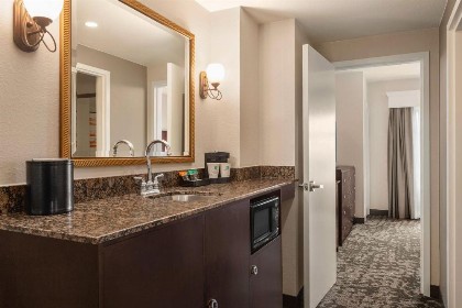 Embassy Suites by Hilton Orlando Lake Buena Vista South - image 21