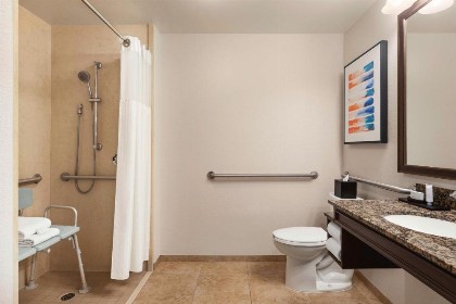 Embassy Suites by Hilton Orlando Lake Buena Vista South - image 22