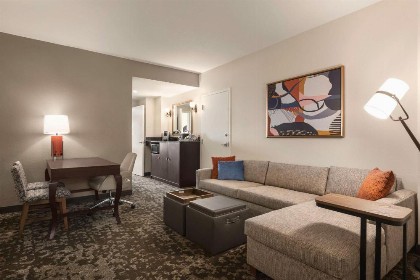 Embassy Suites by Hilton Orlando Lake Buena Vista South - image 45