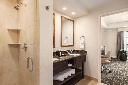 Embassy Suites by Hilton Orlando Lake Buena Vista South - image 7