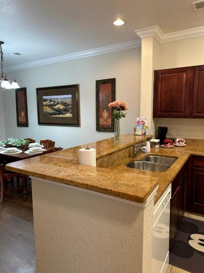 Gone 2 Florida Vacation Homes - image 22