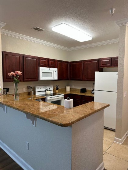 Gone 2 Florida Vacation Homes - image 27