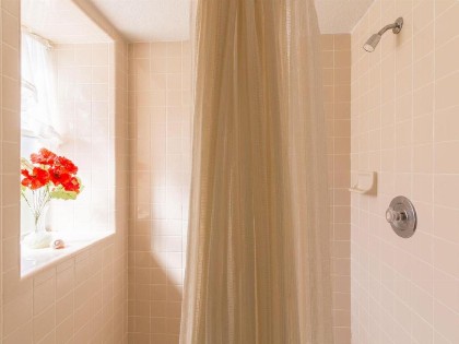 Davenport Home by Florida Dream Homes - image 9