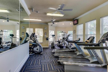 Windsor Palms (#2374) - image 8