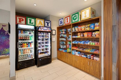 Holiday Inn Express & Suites S Lake Buena Vista an IHG Hotel - image 31