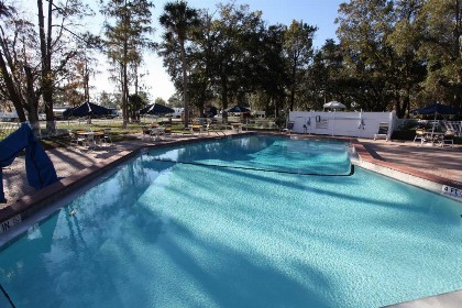 Sherwood Forest Cottage 6 - image 6