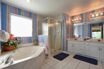 Mickey's Lake Villa - image 11
