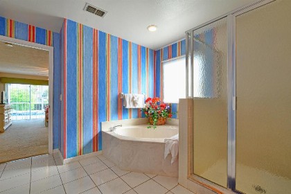 Mickey's Lake Villa - image 23