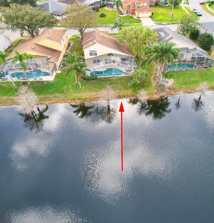 Mickey's Lake Villa - image 29