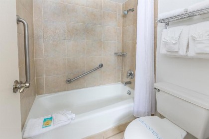 Flamingo Express Hotel - image 4