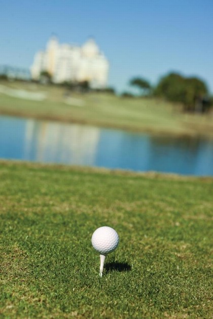 WorldMark Reunion - image 13