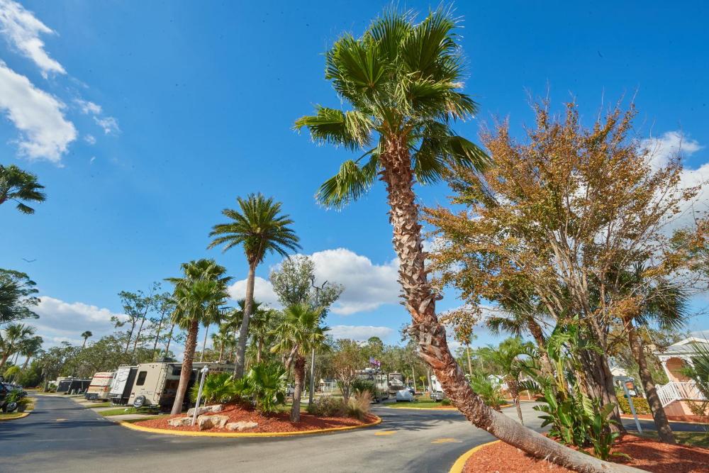 Tropical Palms Resort - image 5