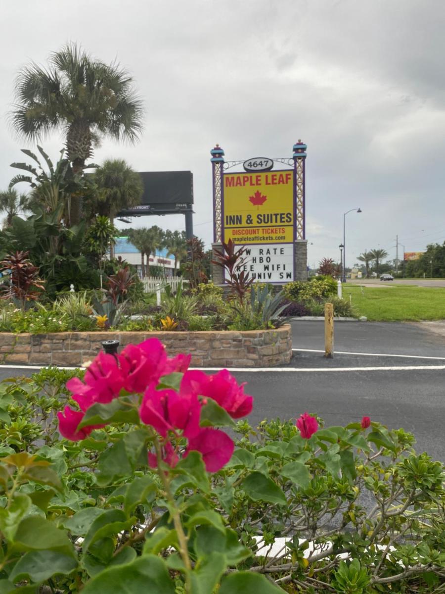 Maple Leaf Inn & Suites - main image