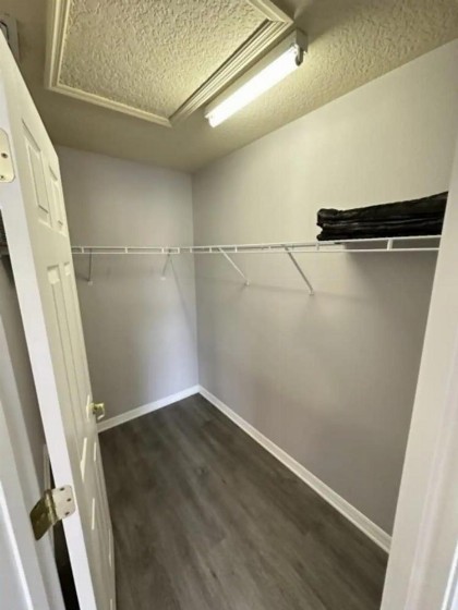 Elegant Brand NEW Houses Less 10 Minutes from Disney - image 17