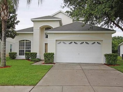 Sun Palm 8167 - image 1