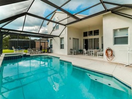 Sun Palm 8167 - image 2