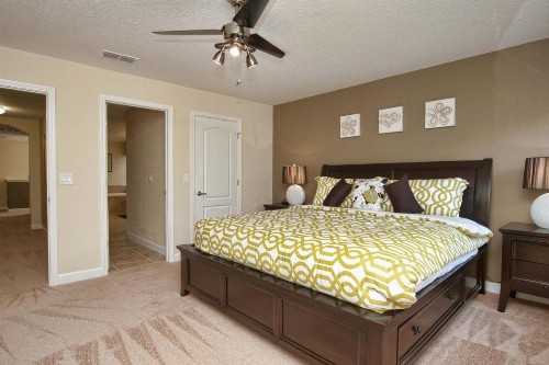 Paradise Palms- 6 Bedroom Pool Home-3150PP - image 13