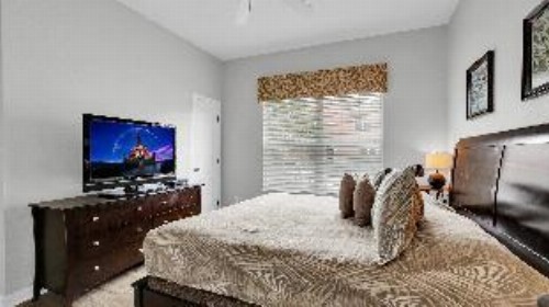 Majesty Palm Road 8975 - image 7