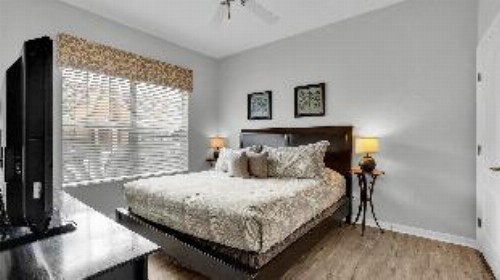Majesty Palm Road 8975 - image 8