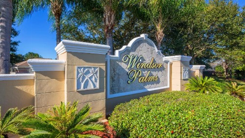 Wired Palms - image 8