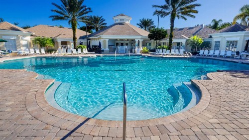Wired Palms - image 5