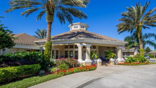 Wired Palms - image 7