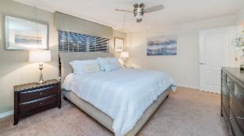 8875 Candy Palm Road - image 8