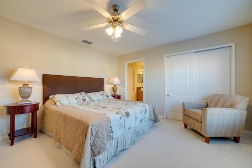 Paradise Palms Oasis - image 6