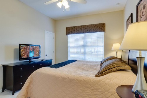 Paradise Palms Oasis - image 8