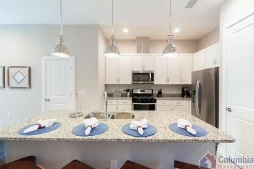 4 BR 4 BA Villa Ground Zero to Disneyworld 1804ft² - image 11
