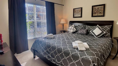 Donald's Dreamhouse - image 9