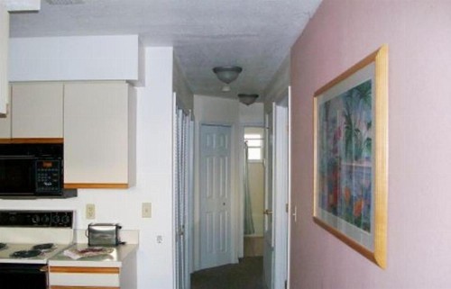 Affordable 3/2 Home close to Disney Parks !!! - image 10