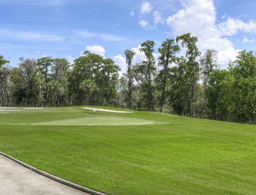 Serenely Nestled Resort Villas at Poinciana - image 11