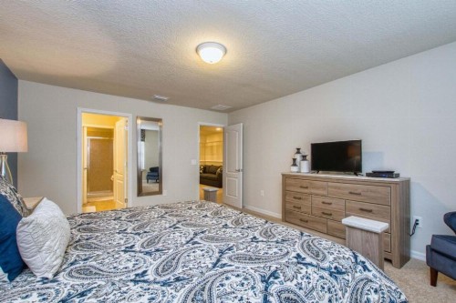 Windsor-5 Bed Townhouse w splashpool-3815WW - image 23