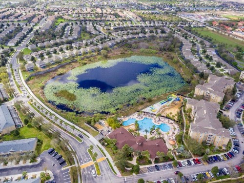 Ohana House at Windsor Hills Disney World Luxury Rental - image 12