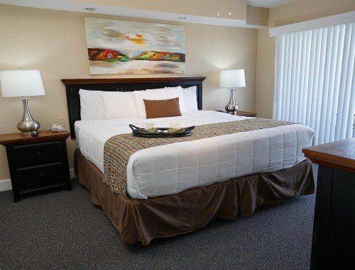 Immaculate and Convenient Villa in Sunny Kissimmee - One Bedroom #1 - image 7