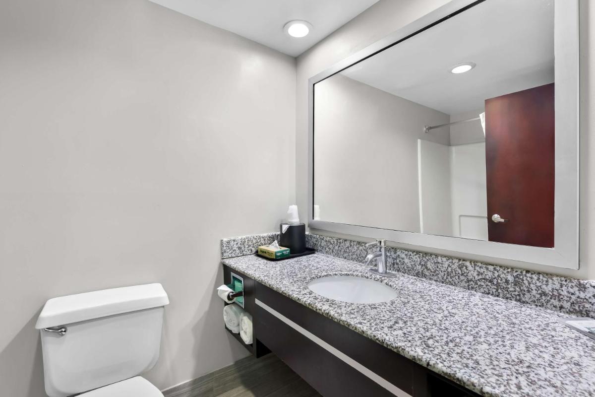 Best Western Knoxville Suites - Downtown - image 3